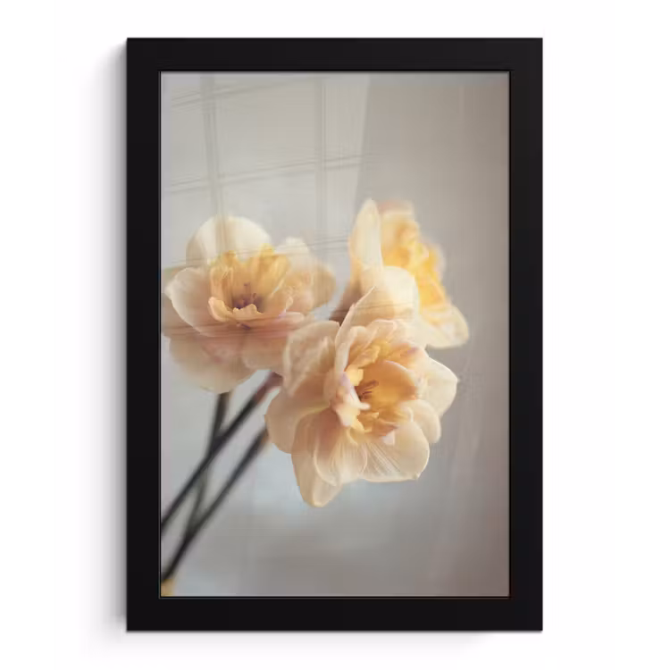 Narcissen - Geel - Bloemblaadjes fotolijst zwart zonder passe partout klein -3d