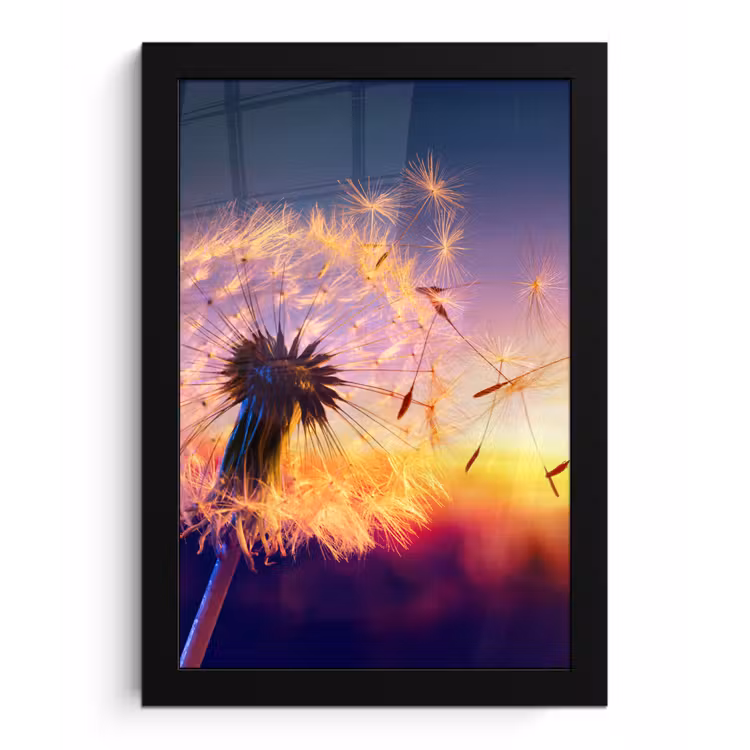 Paardenbloem - Bloemen - Zonsondergang - Horizon - Nacht fotolijst zwart zonder passe partout klein -3d