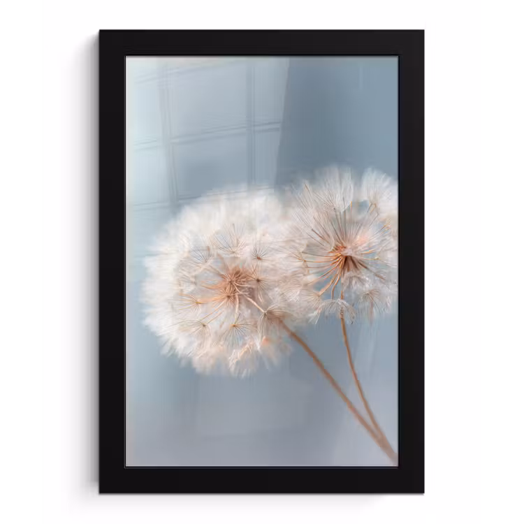Paardenbloemen - Pluisjes - Wit fotolijst zwart zonder passe partout klein -3d