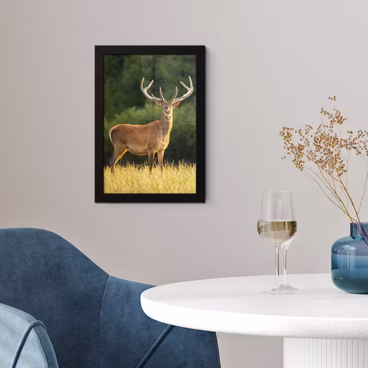 Hert - Gewei - Gras - Natuur - Dieren - Groen fotolijst zwart zonder passe partout klein -sfeer4