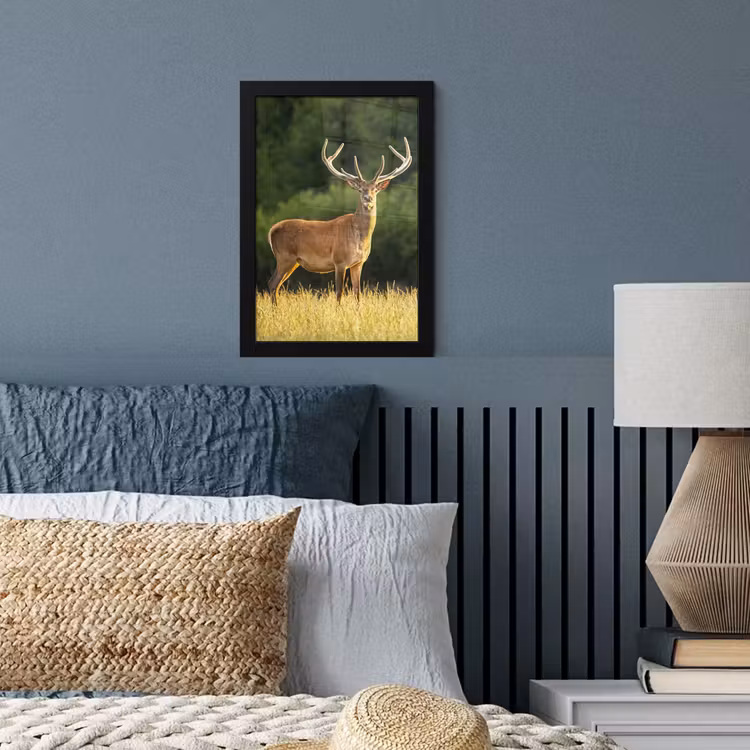 Hert - Gewei - Gras - Natuur - Dieren - Groen fotolijst zwart zonder passe partout klein -sfeer3
