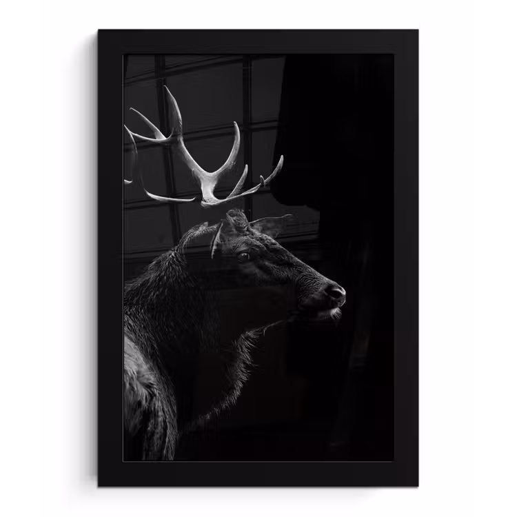 Hert - Zwart - Portret - Gewei - Dieren fotolijst zwart zonder passe partout klein -3d