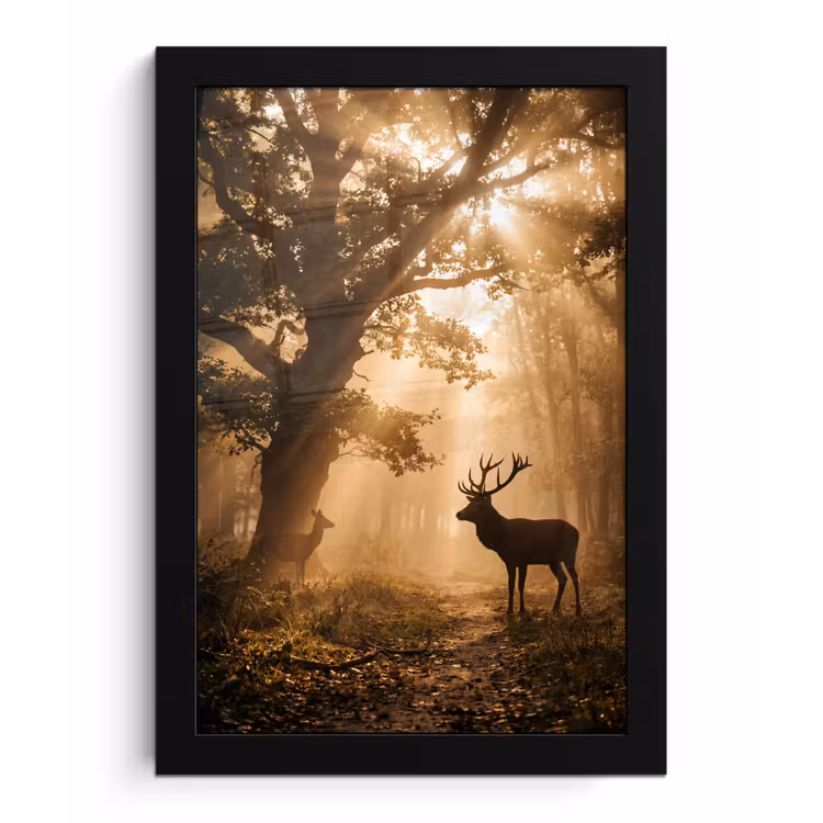 Hert - Bos - Mistig - Natuur - Goud fotolijst zwart zonder passe partout klein -3d