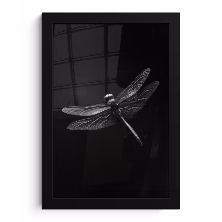 Libelle - Dieren - Zwart - Insect fotolijst zwart zonder passe partout klein -3d