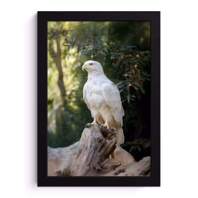 Arend - Hout - Wit - Planten fotolijst zwart zonder passe partout klein -3d