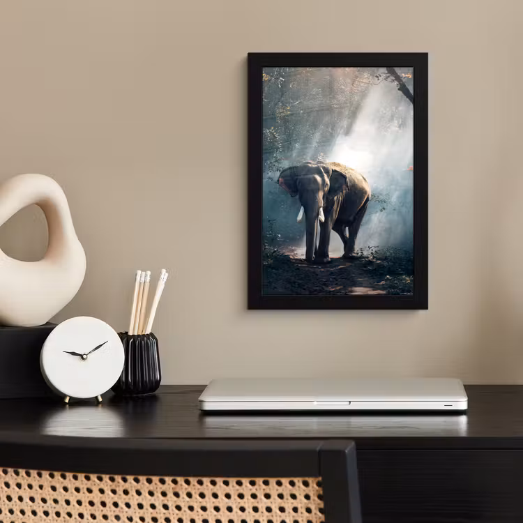 Olifant - Dieren - Licht - Bos - Natuur - Wilde dieren fotolijst zwart zonder passe partout klein -sfeer1