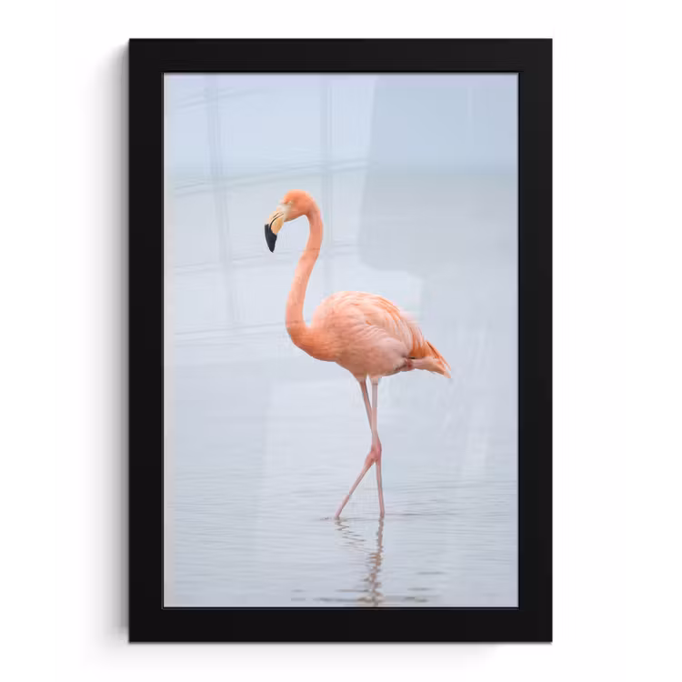 Flamingo - Zee - Roze fotolijst zwart zonder passe partout klein -3d