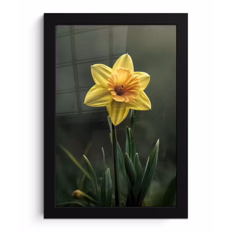 Bloem - Narcis - Gras - Geel fotolijst zwart zonder passe partout klein -3d
