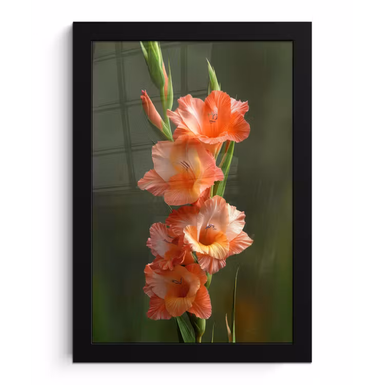 Bloem - Gladiolen - Zalmroze fotolijst zwart zonder passe partout klein -3d