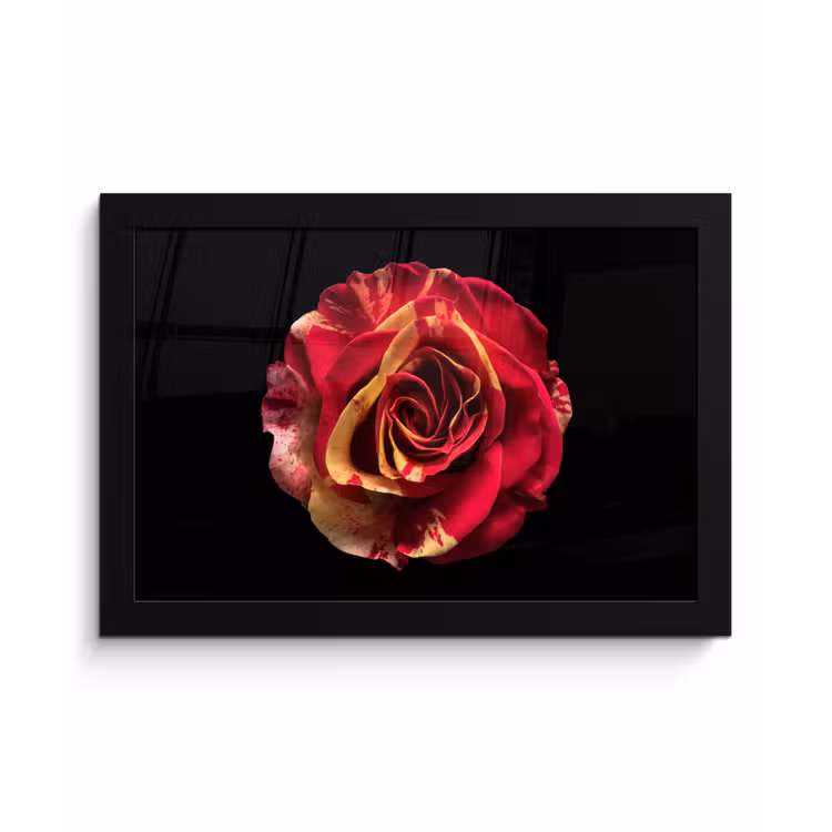Bloem - Roos - Rood - Zwart fotolijst zwart zonder passe partout klein -3d