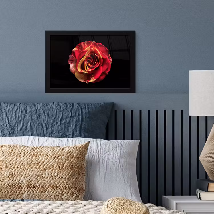 Bloem - Roos - Rood - Zwart fotolijst zwart zonder passe partout klein -sfeer3
