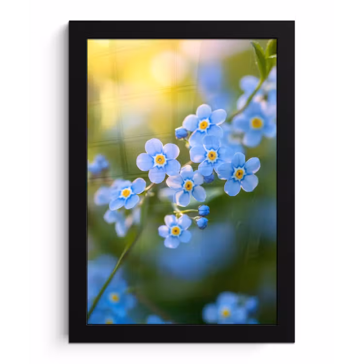 Bloemetjes - Blauw - Vergeet mij nietjes fotolijst zwart zonder passe partout klein -3d