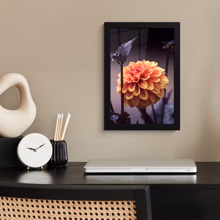 Bloemen - Chrysant - Macro - Planten fotolijst zwart zonder passe partout klein -sfeer1