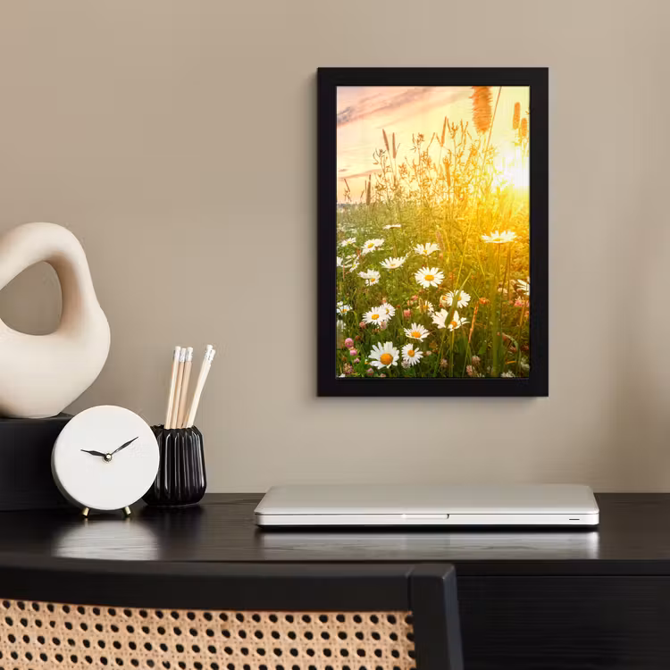 Bloemen - Madelief - Natuur - Zon - Horizon fotolijst zwart zonder passe partout klein -sfeer1