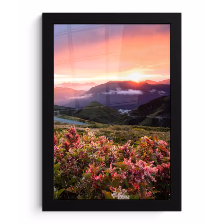 Bloemen - Bergen - Landschap - Nacht - Lucht - Roze fotolijst zwart zonder passe partout klein -3d