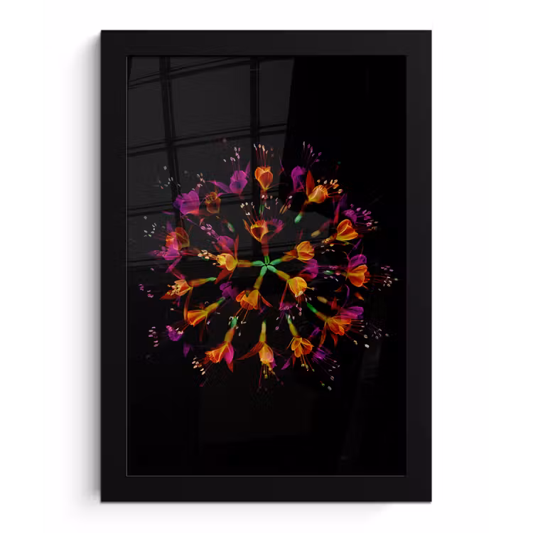 Bloemen - Oranje - Roze - Zwart fotolijst zwart zonder passe partout klein -3d