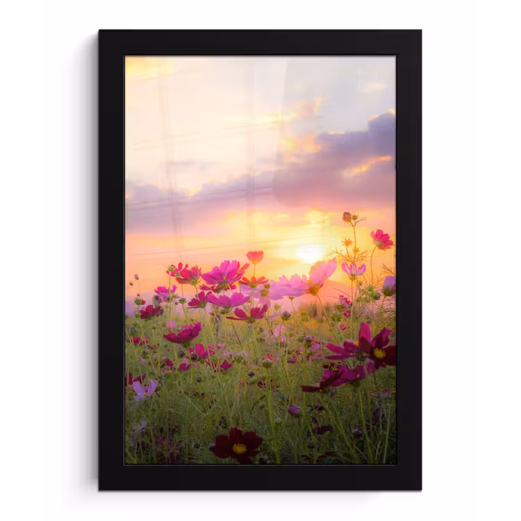 Bloemen - Roze - Zonsondergang - Natuur - Weide - Horizon fotolijst zwart zonder passe partout klein -3d