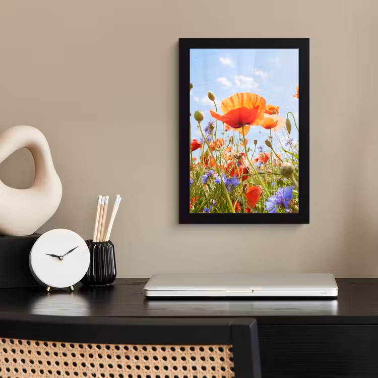 Bloemen - Klaproos - Lente - Natuur - Rood - Blauw fotolijst zwart zonder passe partout klein -sfeer1