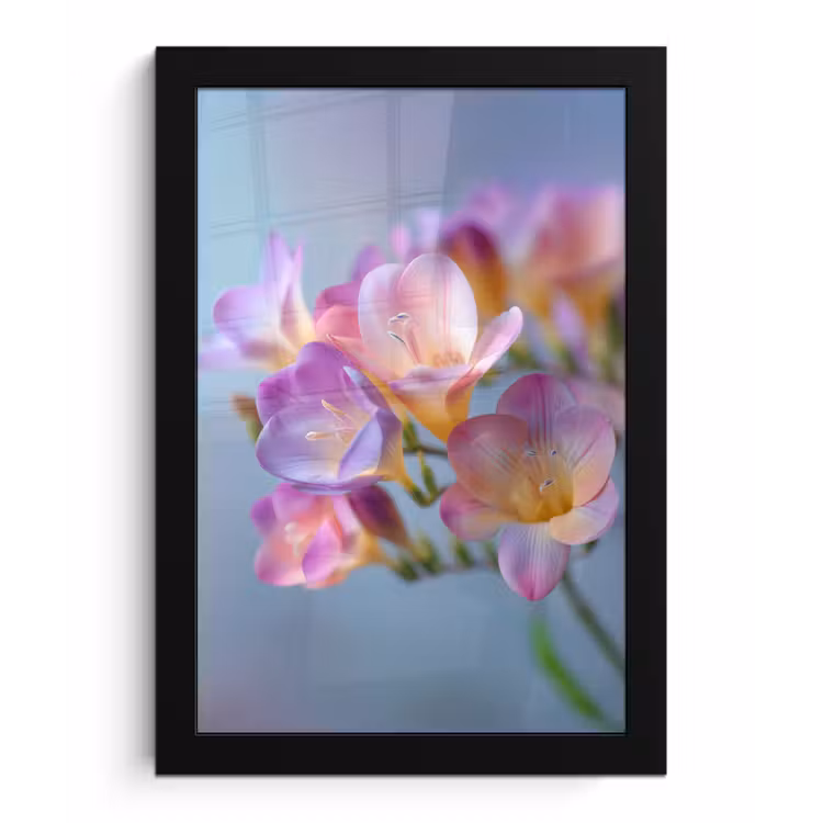 Bloemen - Paars - Overloop - Meeldraden fotolijst zwart zonder passe partout klein -3d