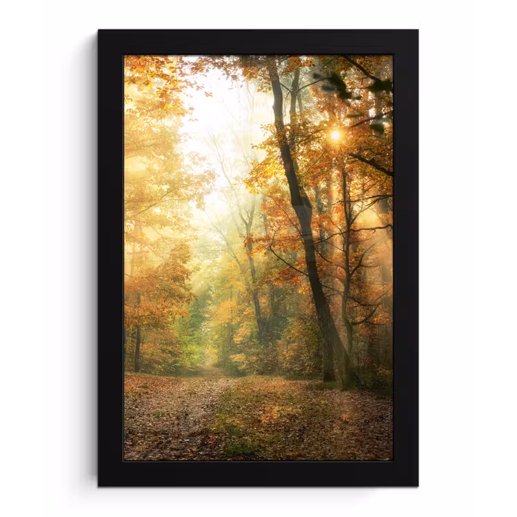 Bos - Herfst - Zon - Landschap - Natuur - Bomen - Bladeren fotolijst zwart zonder passe partout klein -3d