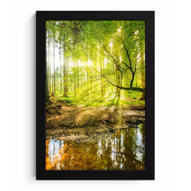 Bos - Landschap - Water - Bomen - Zon - Groen - Natuur fotolijst zwart zonder passe partout klein -3d