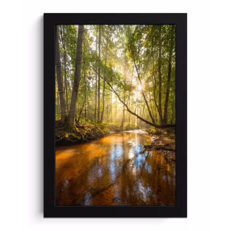Bos - Beek - Zonlicht - Natuur - Groen fotolijst zwart zonder passe partout klein -3d