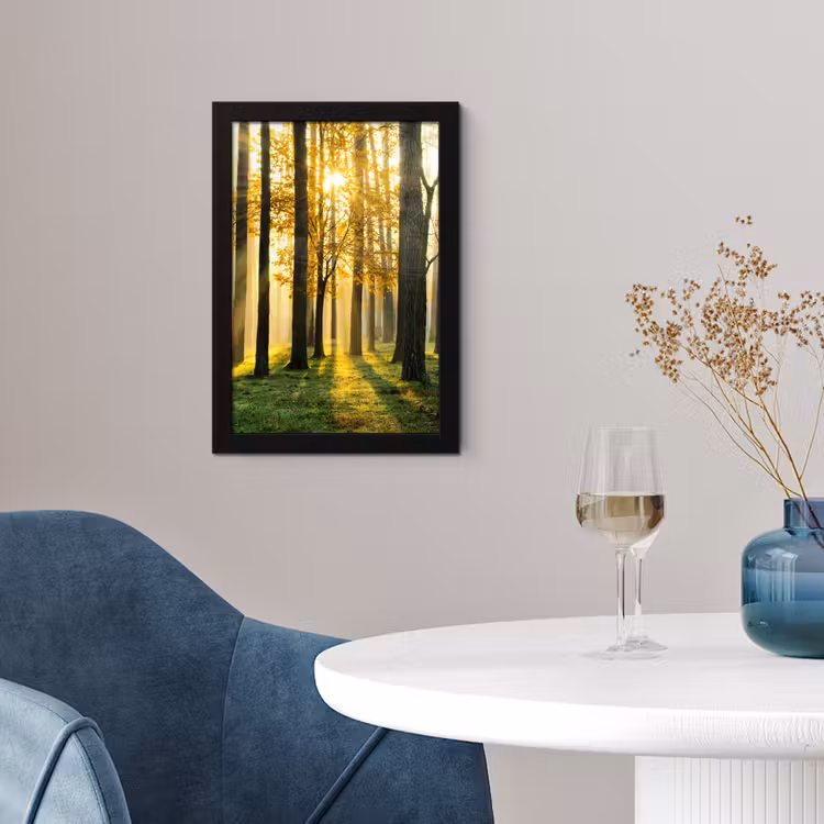 Bos - Zon - Bomen - Gras - Landschap - Natuur fotolijst zwart zonder passe partout klein -sfeer4