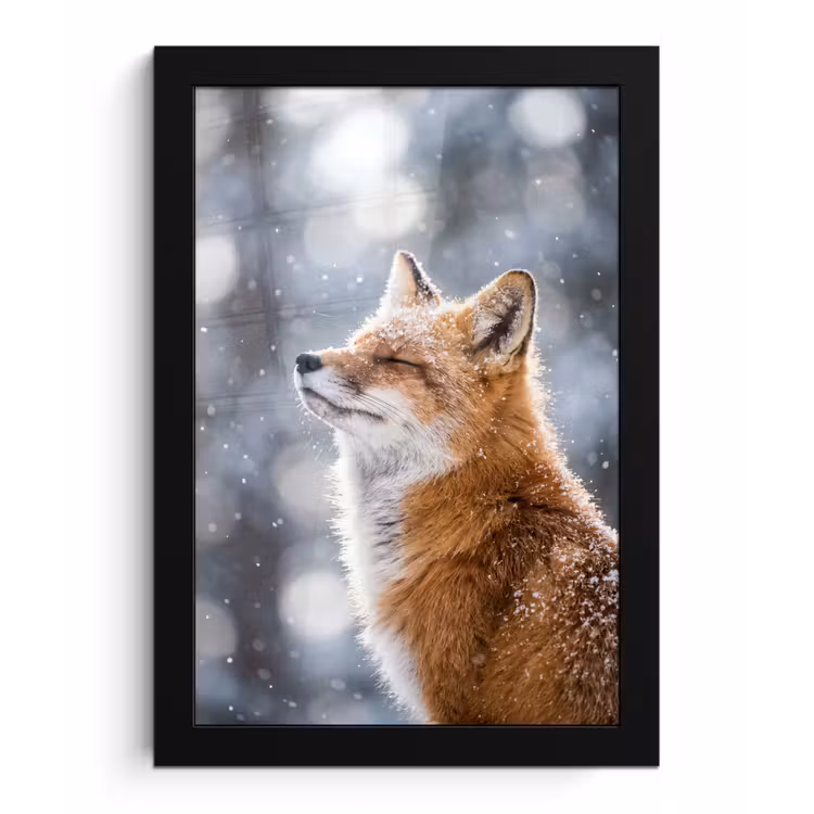 Vos - Sneeuwval - Portret - Winter - Sfeervol fotolijst zwart zonder passe partout klein -3d