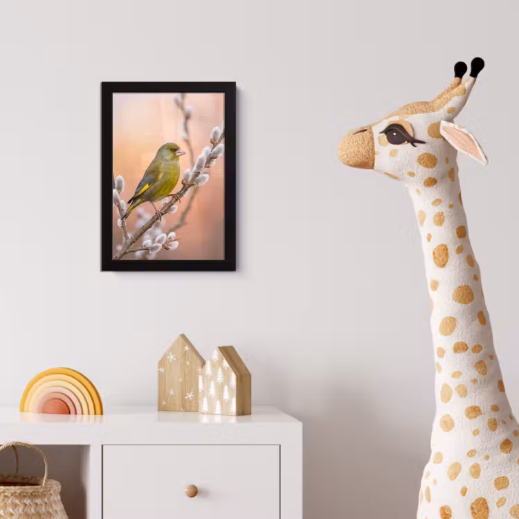 Groenling - Katjes - Lente - Natuur - Zacht fotolijst zwart zonder passe partout klein -usfeer4_kinderkamer