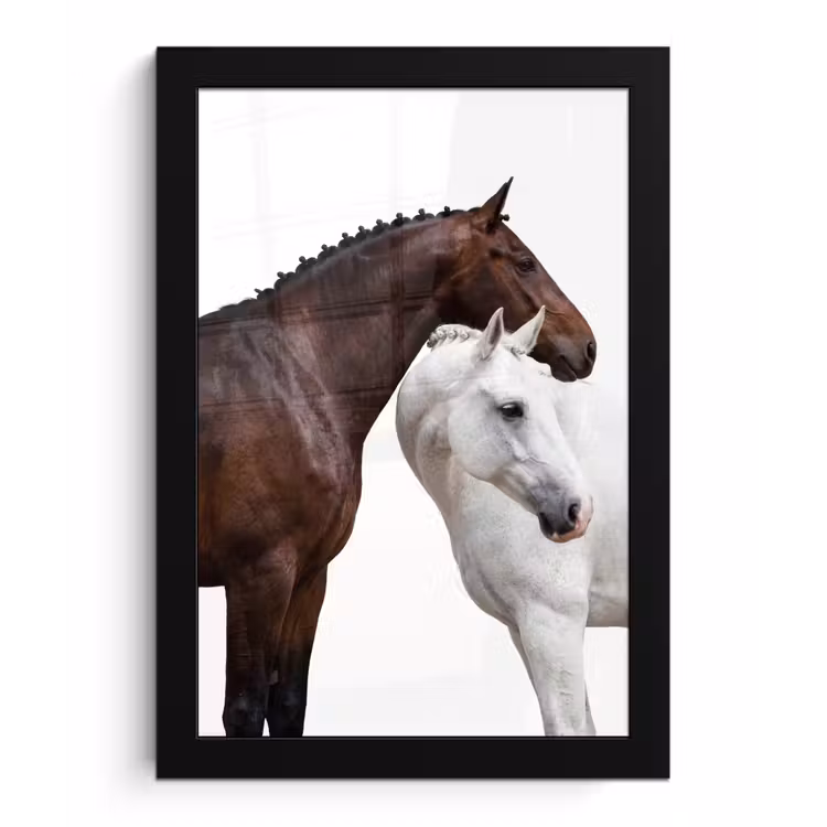 Paard - Modern - Balans fotolijst zwart zonder passe partout klein -3d
