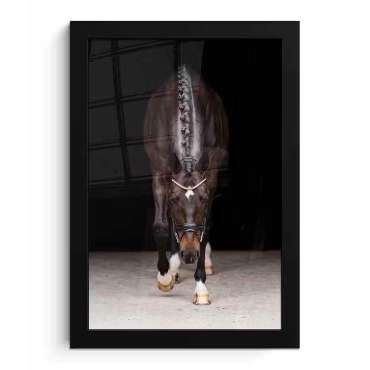 Paard - Modern - Portret fotolijst zwart zonder passe partout klein -3d