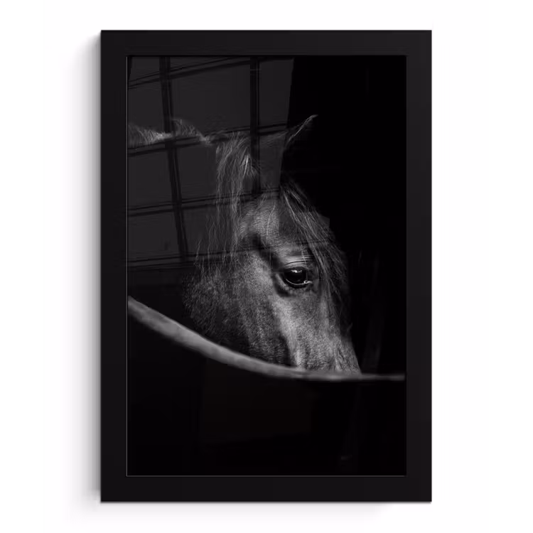 Paarden - Portret - Zwart - Dieren fotolijst zwart zonder passe partout klein -3d