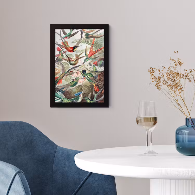 Kolibrie - Vintage - Ernst Haeckel - Vogel - Kunst - Natuur fotolijst zwart zonder passe partout klein -sfeer4