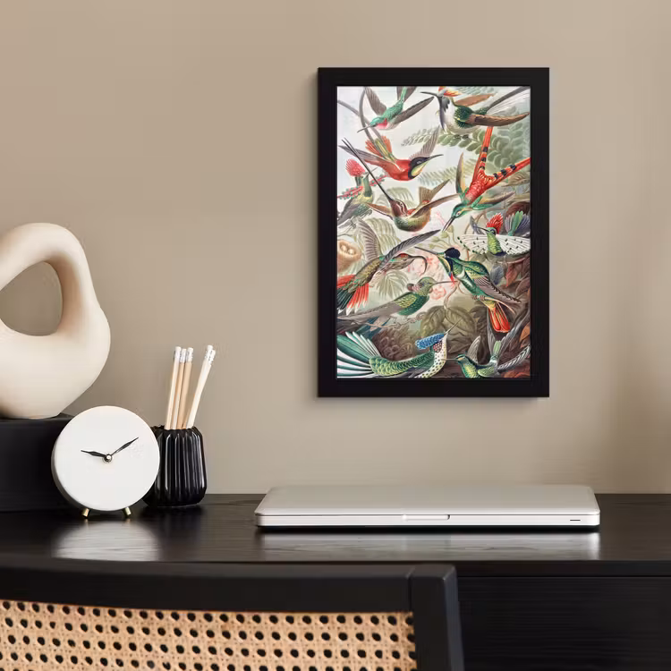 Kolibrie - Vintage - Ernst Haeckel - Vogel - Kunst - Natuur fotolijst zwart zonder passe partout klein -sfeer1