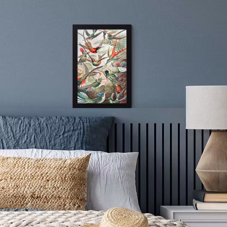 Kolibrie - Vintage - Ernst Haeckel - Vogel - Kunst - Natuur fotolijst zwart zonder passe partout klein -sfeer3