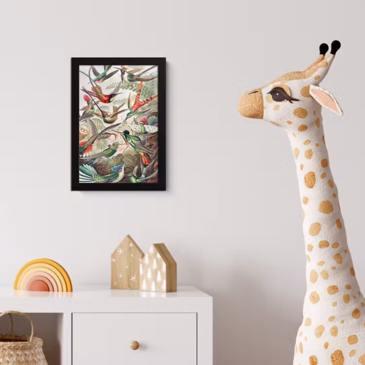 Kolibrie - Vintage - Ernst Haeckel - Vogel - Kunst - Natuur fotolijst zwart zonder passe partout klein -usfeer4_kinderkamer