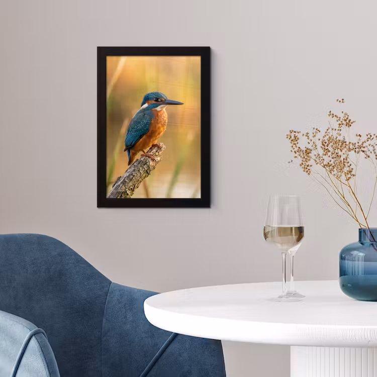 IJsvogel - Tak - Water - Kleurrijk - Levendig fotolijst zwart zonder passe partout klein -sfeer4