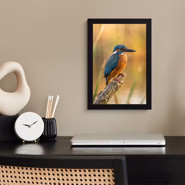 IJsvogel - Tak - Water - Kleurrijk - Levendig fotolijst zwart zonder passe partout klein -sfeer1