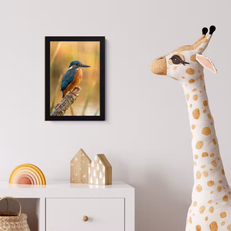 IJsvogel - Tak - Water - Kleurrijk - Levendig fotolijst zwart zonder passe partout klein -usfeer4_kinderkamer