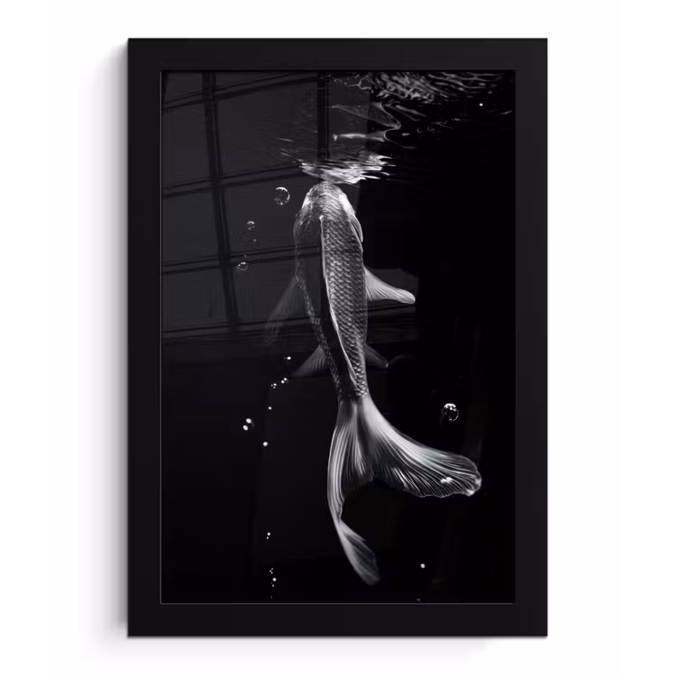 Koi - Vissen - Water - Zwart fotolijst zwart zonder passe partout klein -3d