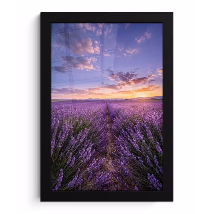 Lavendel - Veld - Natuur - Paars fotolijst zwart zonder passe partout klein -3d