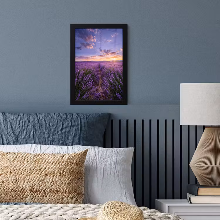 Lavendel - Veld - Natuur - Paars fotolijst zwart zonder passe partout klein -sfeer3