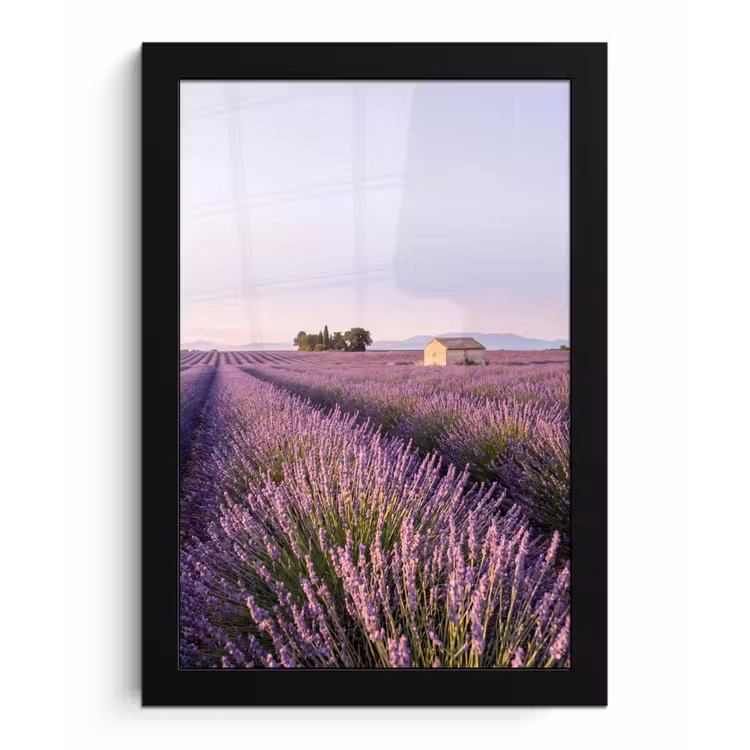 Lavendel - Landschap - Sereen - Paars fotolijst zwart zonder passe partout klein -3d