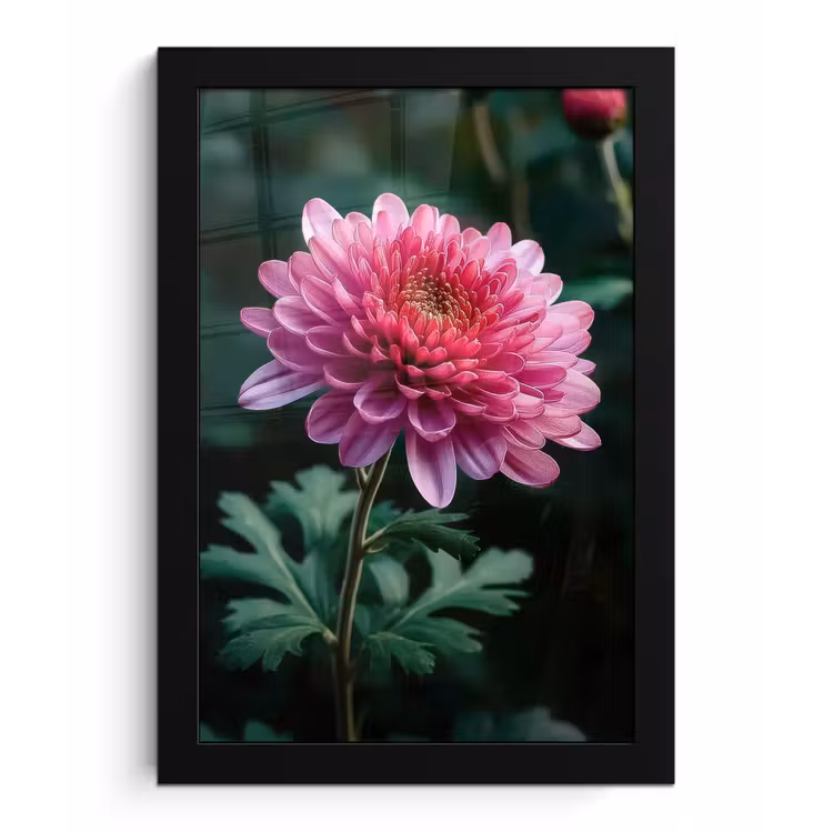 Blad - Chrysant - Roze - Schaduw fotolijst zwart zonder passe partout klein -3d