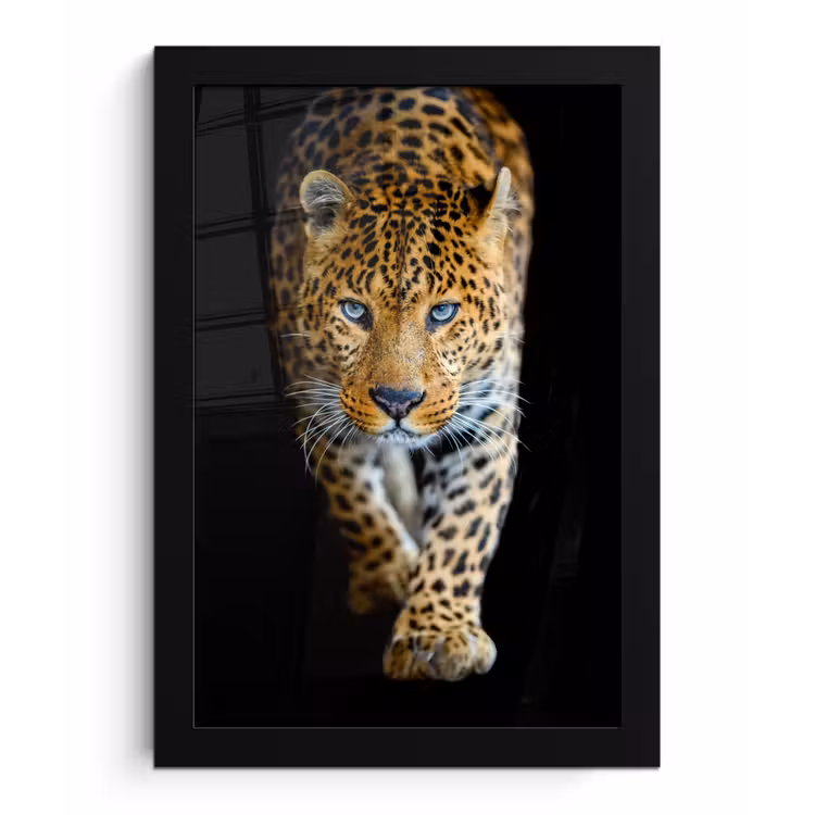 Luipaard - Dieren - Portret - Wilde dieren - Zwart fotolijst zwart zonder passe partout klein -3d