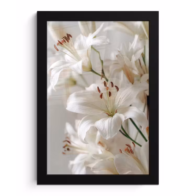 Lelies - Boekte - Wit - Meeldraden fotolijst zwart zonder passe partout klein -3d