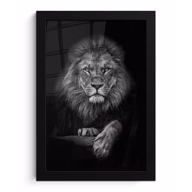 Leeuw - Dieren - Zwart - Wit fotolijst zwart zonder passe partout klein -3d