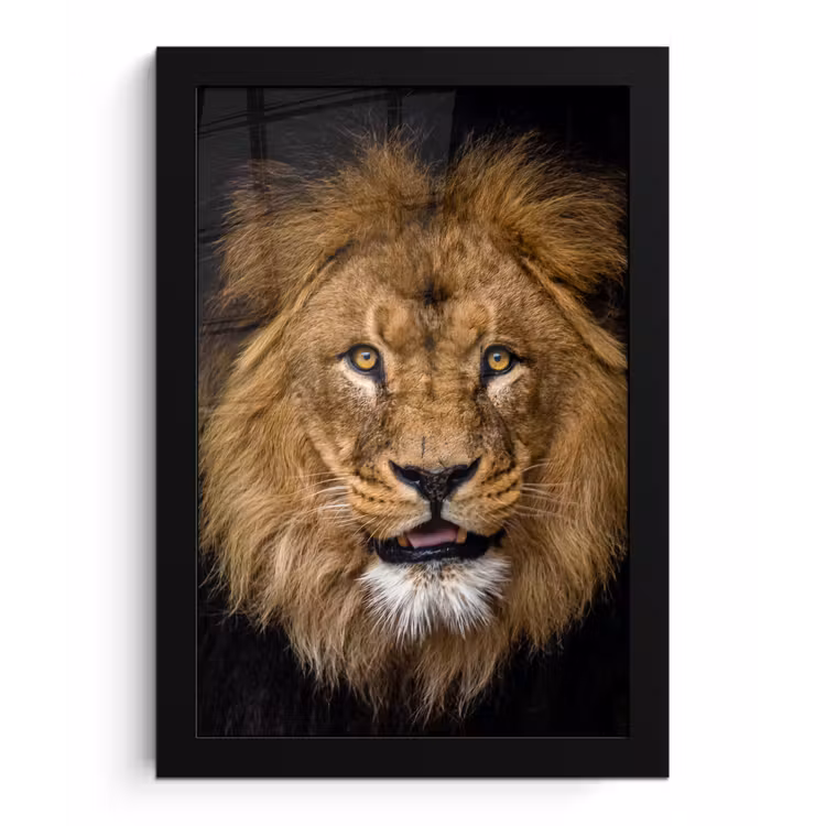 Leeuw - Portret - Zwart - Dieren fotolijst zwart zonder passe partout klein -3d