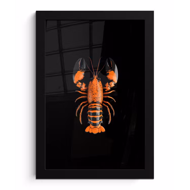 Kreeft - Oranje - Zwart - Modern fotolijst zwart zonder passe partout klein -3d