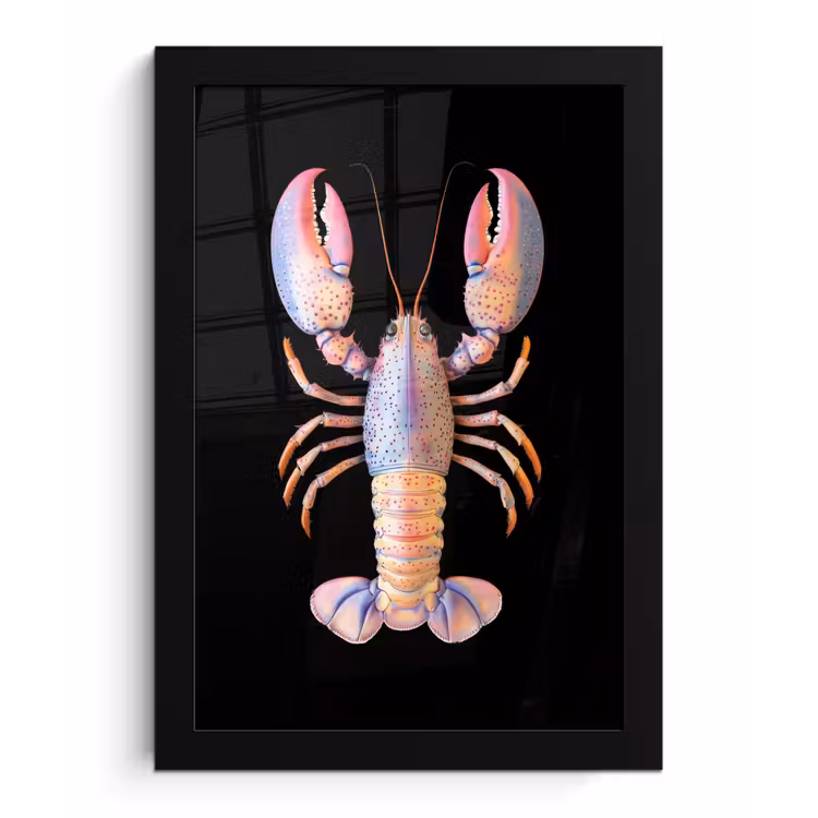 Kreeft - Roze - Zacht - Zwart fotolijst zwart zonder passe partout klein -3d